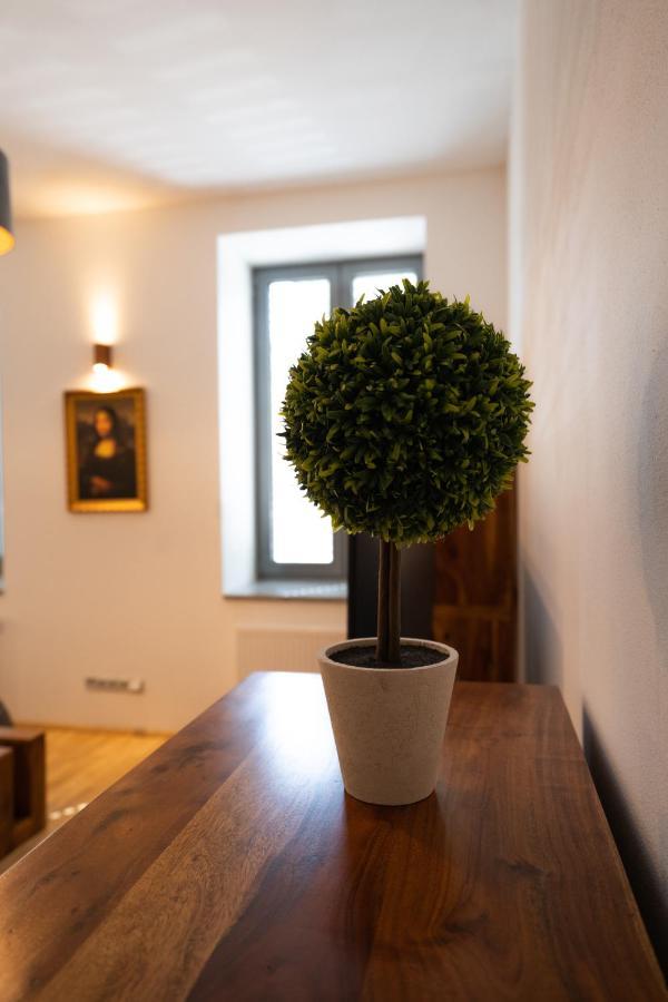 Black Field Apartment Brno Eksteriør billede